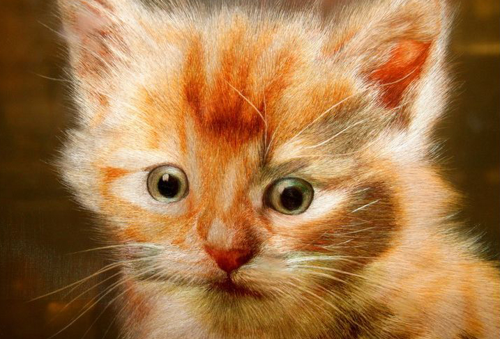 Cat portrait depicted in a Suzhou embroidery example